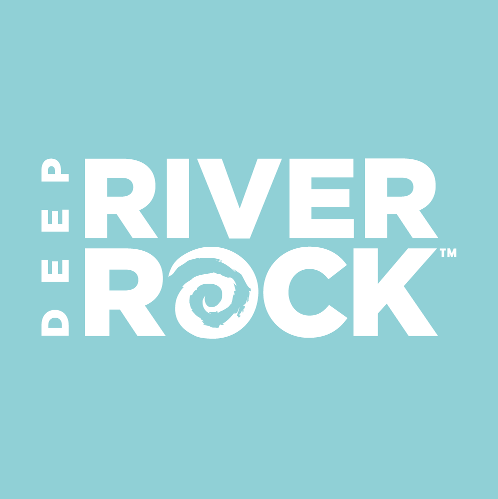 DRR-2025-Core-Logo