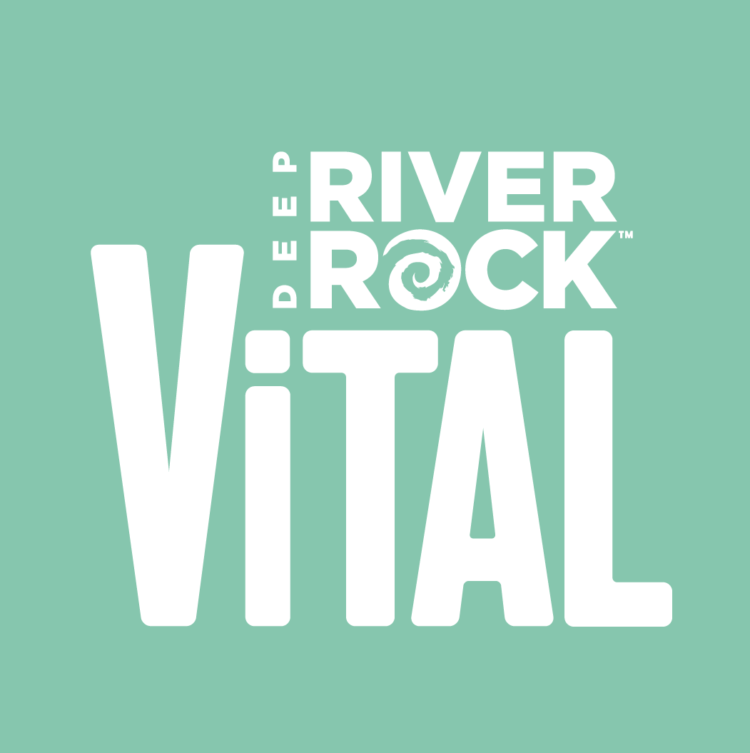 DRR-2025-Vital-Logo